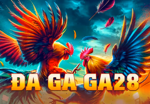 Đá Gà 28
